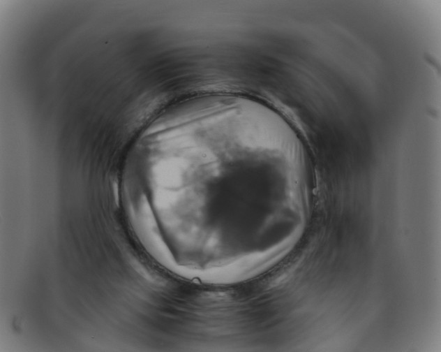 X0000091500061200709131858