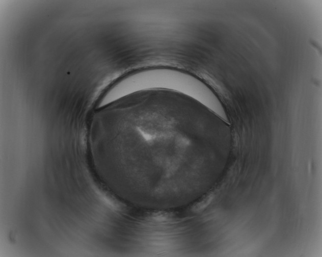 X0000091500064200709131858