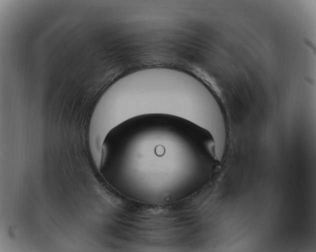 X0000091500065200709131858