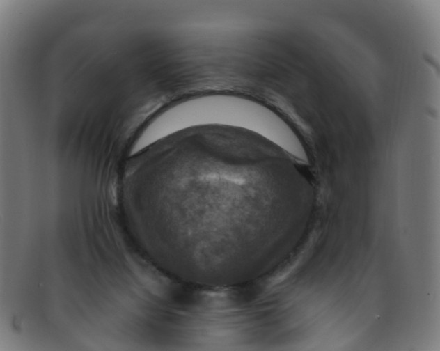 X0000091500068200709131858