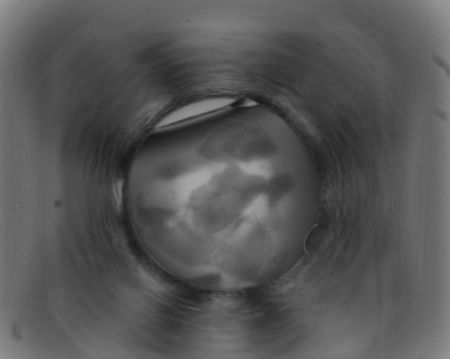 X0000091500070200709131858