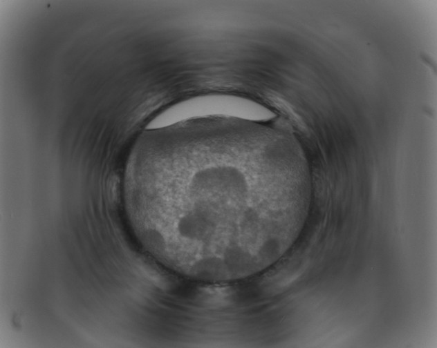 X0000091500071200709131858