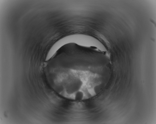 X0000091500073200709131858