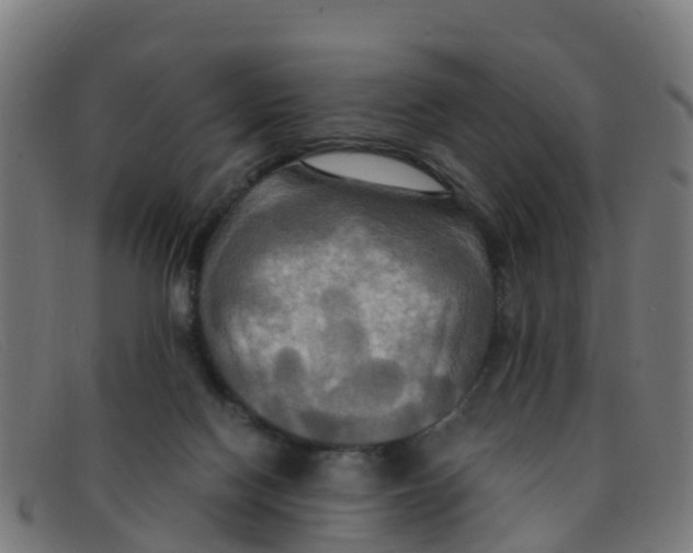 X0000091500074200709131858