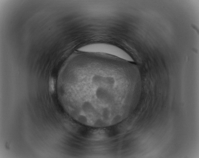 X0000091500075200709131858