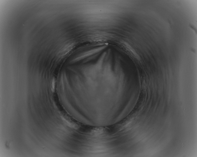 X0000091500076200709131858