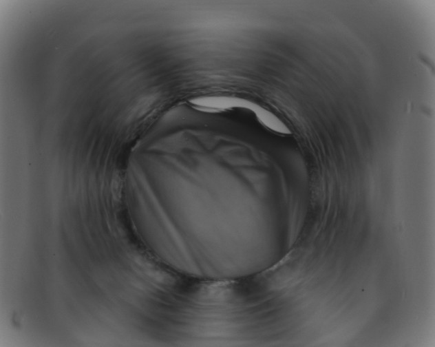 X0000091500078200709131858