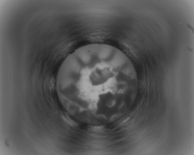 X0000091500081200709131859