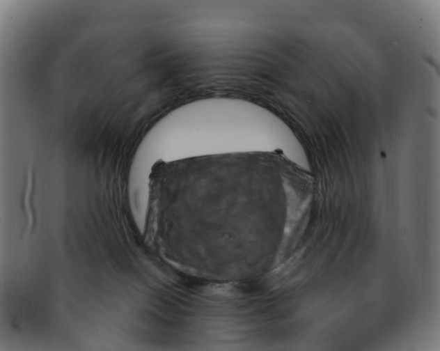 X0000091500086200709131859