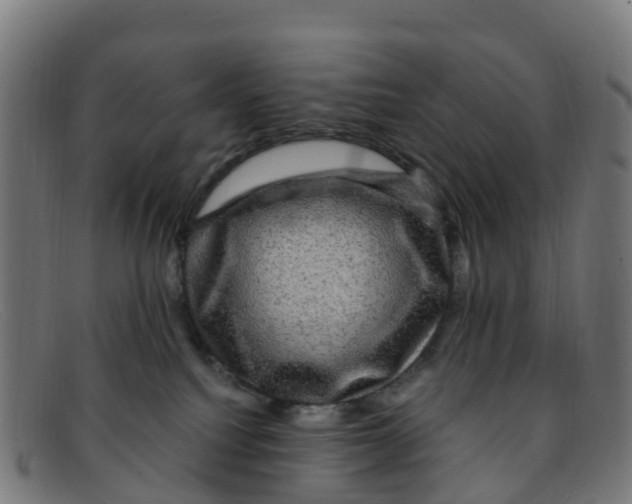 X0000091500088200709131859