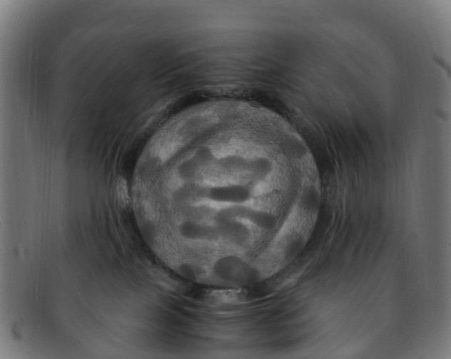 X0000091500089200709131859