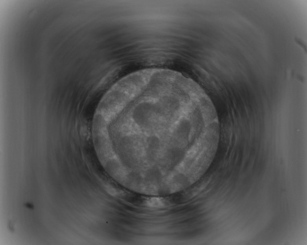 X0000091500091200709131859