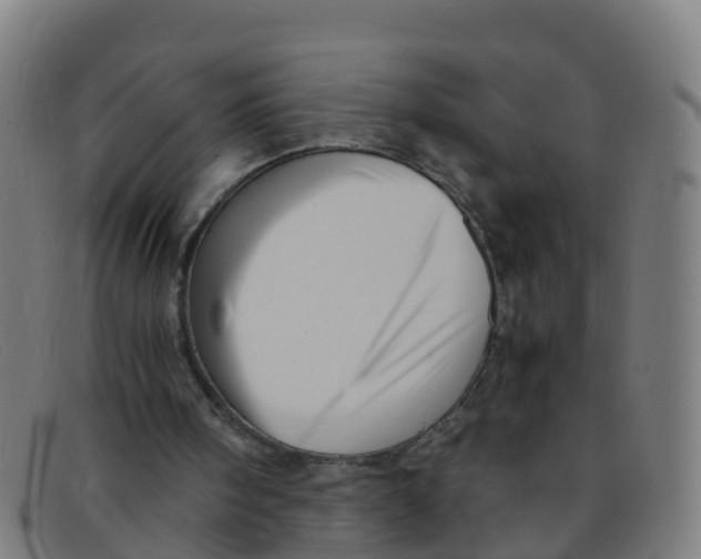 X0000091500098200709131858