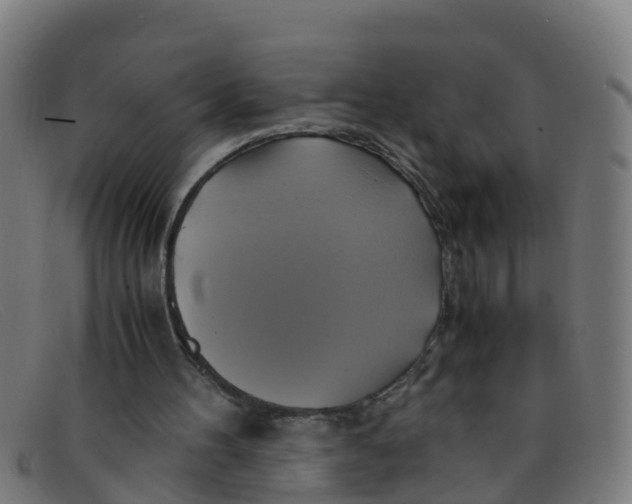 X0000091500100200709131858