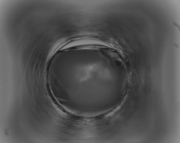 X0000091500101200709131858