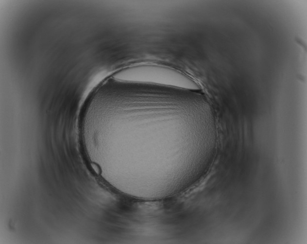 X0000091500102200709131858