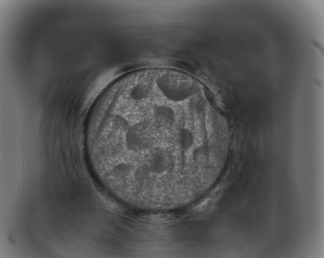 X0000091500103200709131858