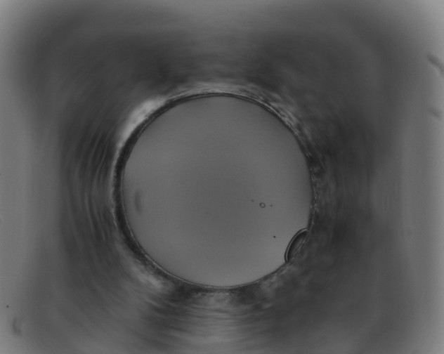 X0000091500104200709131858