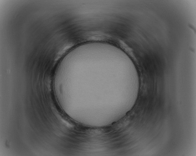 X0000091500106200709131858