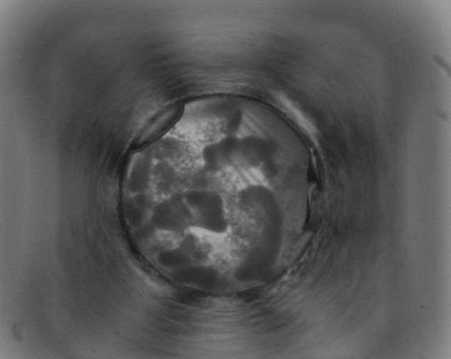 X0000091500107200709131858