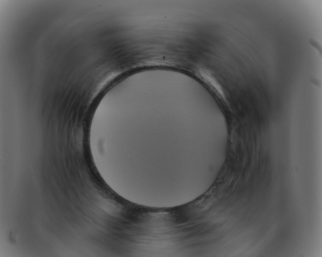 X0000091500108200709131858