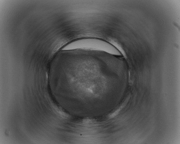 X0000091500109200709131858