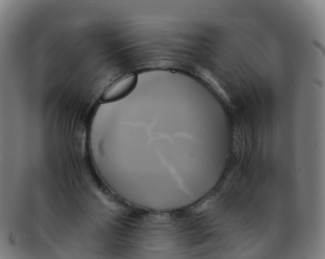 X0000091500110200709131858