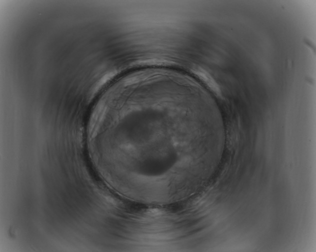 X0000091500111200709131858