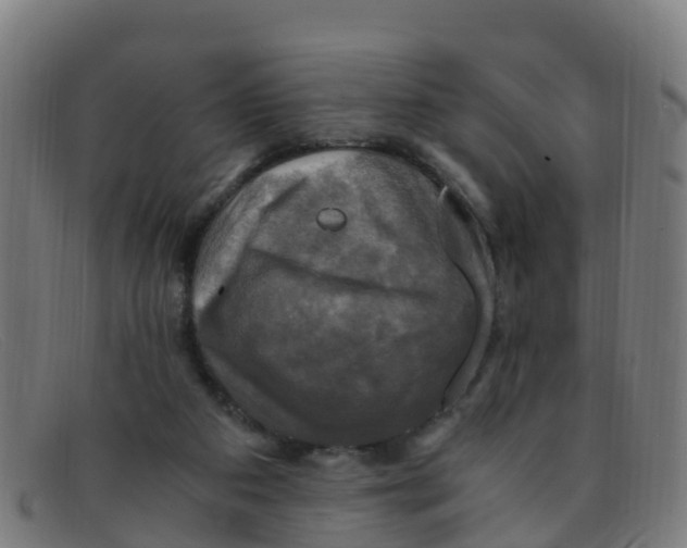 X0000091500113200709131858