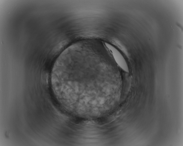 X0000091500115200709131858