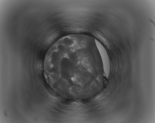 X0000091500119200709131858