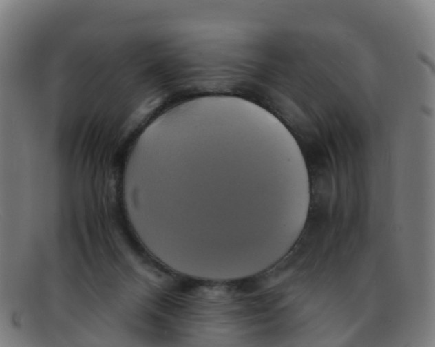 X0000091500120200709131858