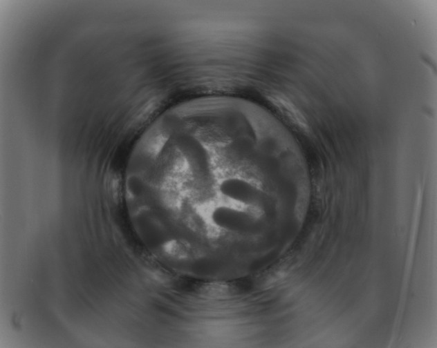 X0000091500123200709131858