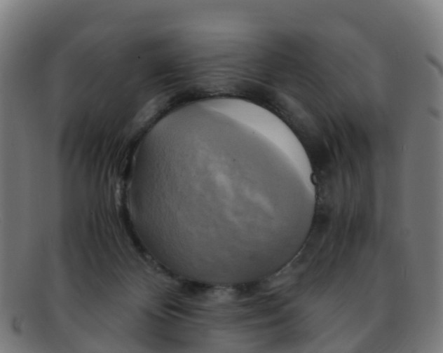 X0000091500124200709131858