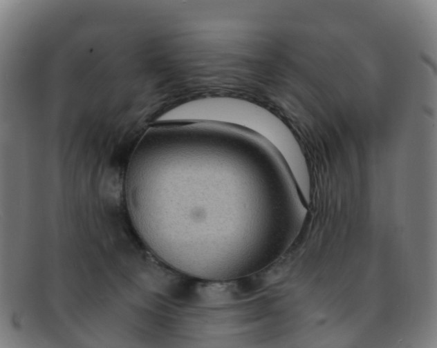 X0000091500129200709131858