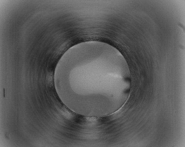 X0000091500144200709131857