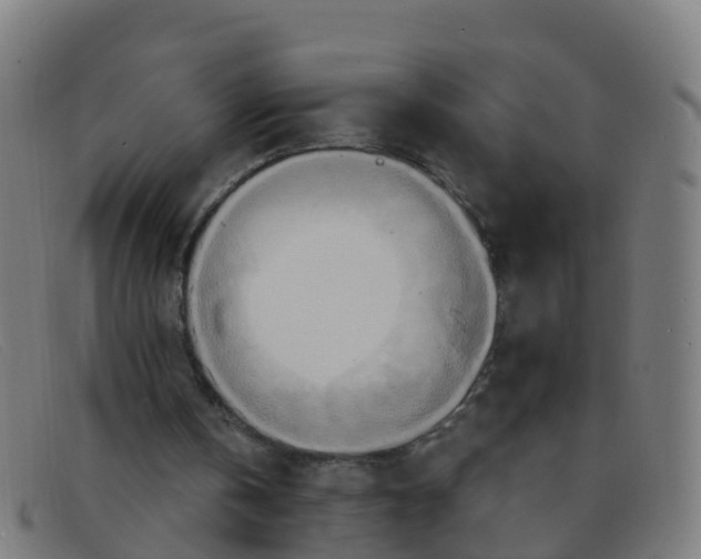 X0000091500146200709131857