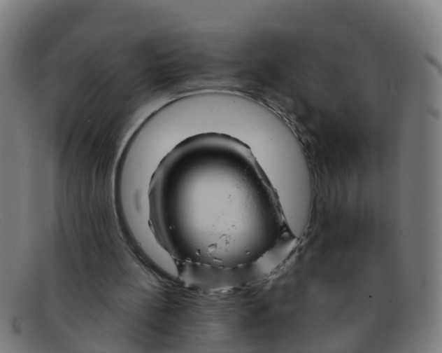 X0000091500148200709131857