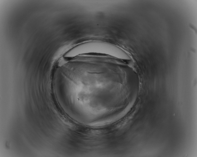 X0000091500149200709131857