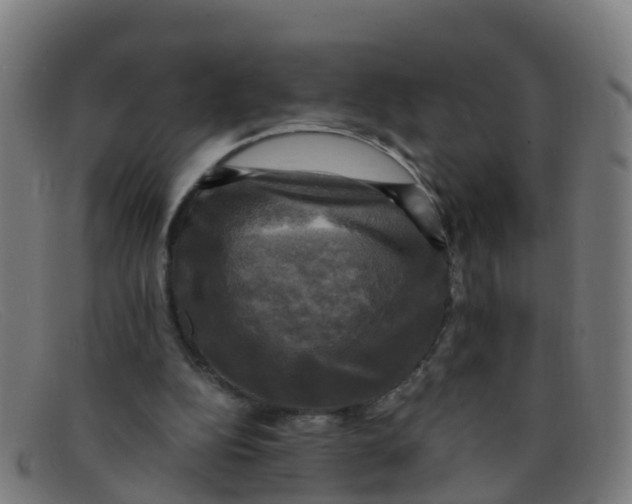 X0000091500152200709131857