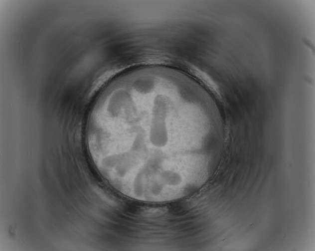 X0000091500155200709131857