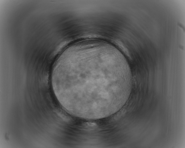 X0000091500159200709131857