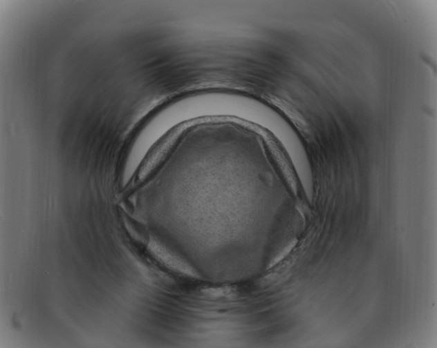 X0000091500160200709131857