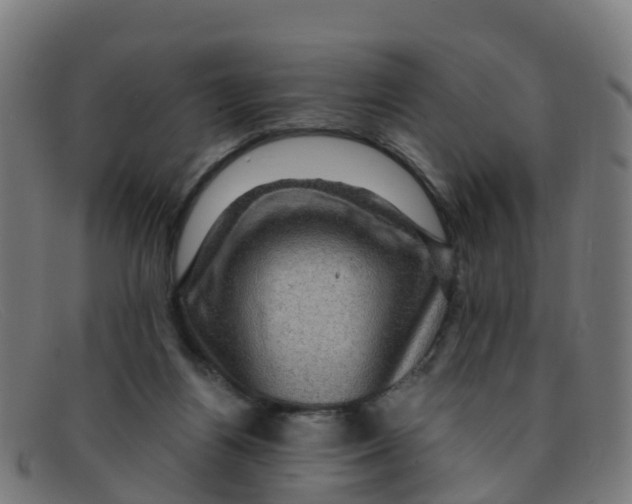 X0000091500164200709131857