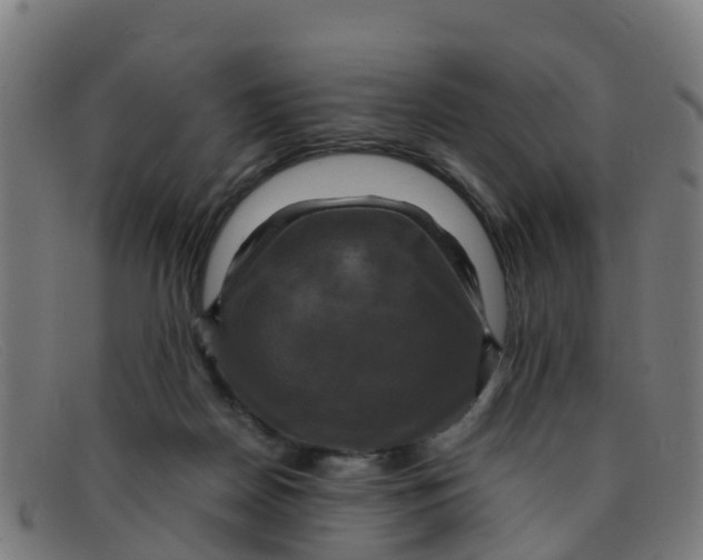 X0000091500170200709131857