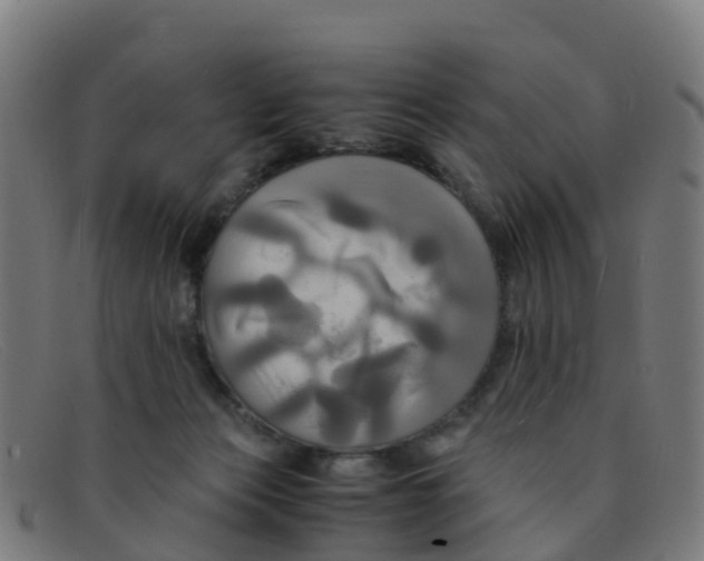 X0000091500173200709131857