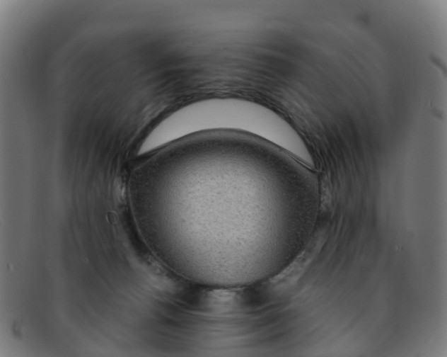 X0000091500176200709131857