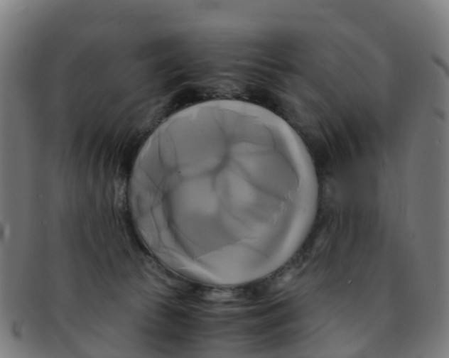 X0000091500177200709131857