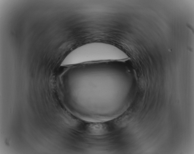 X0000091500181200709131857