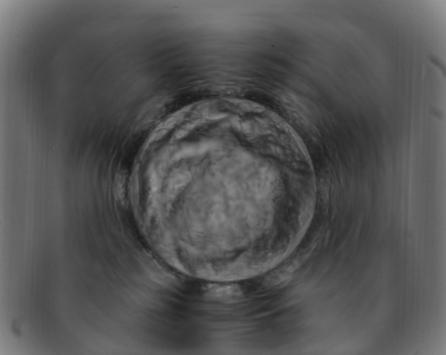 X0000091500185200709131857